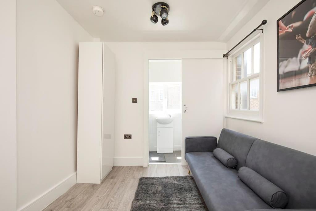 Spacious Serenity In The Heart Of Central London Exterior photo